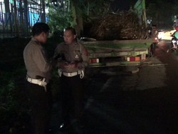 Kecelakaan Truk Tebu yang Membuat Adam dan Mai Kehilangan Ortu