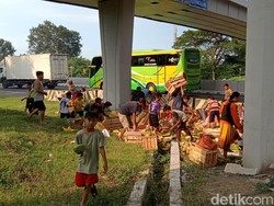 Truk Terbalik di Tol Gempol-Surabaya, Muatan Buah Berserakan Dijarah Warga!