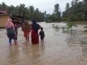 Banjir Rendam Rumah Warga 2 Kabupaten di Sumbar
