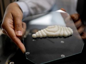 Fillet Ikan Tiruan Ini Buatan Perusahaan Start-Up Israel Fillet Ikan Tiruan Ini Buatan Perusahaan Start-Up Israel