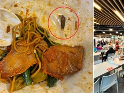 Duh! Pelanggan Ini Temukan Kecoa Mati Dalam Mangkuk Mienya