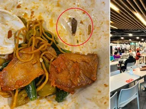 Duh! Pelanggan Ini Temukan Kecoa Mati Dalam Mangkuk Mienya Duh! Pelanggan Ini Temukan Kecoa Mati Dalam Mangkuk Mienya