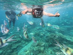 Harga Tiket ke Karimunjawa, Rute, Lokasi, dan Daya Tariknya