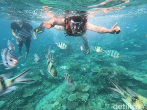 Penampakan Indahnya Bawah Laut Karimunjawa Penampakan Indahnya Bawah Laut Karimunjawa