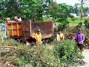 5 Hari Dibersihkan, Sampah di Rumah Dokter Wayan Capai 4 Truk 5 Hari Dibersihkan, Sampah di Rumah Dokter Wayan Capai 4 Truk