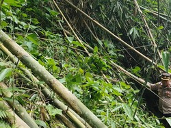 Warga Temukan Kerangka Manusia Saat Bersihkan Saluran Air di Ciawi Bogor