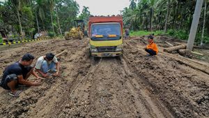 Potret Jalan Rusak di Jambi, Lebih Parah dari Lampung?