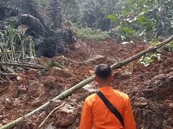 Longsor Landa Kawasan Tanjungsari Bogor, 342 Orang Mengungsi