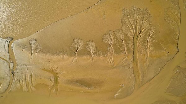 Wow! Pola Unik Nan Ajaib Ini Muncul dari Dasar Sungai Kuning