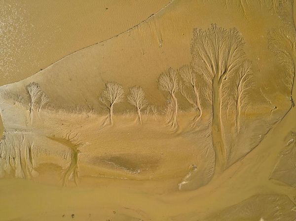 Wow! Pola Unik Nan Ajaib Ini Muncul dari Dasar Sungai Kuning