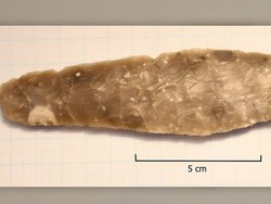 Siswi 8 Tahun Temukan Belati Kuno Berusia 3.700 Tahun