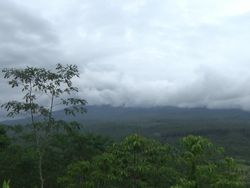 Gunung Semeru Alami 28 Kali Erupsi Disertai Letusan dalam 6 Jam