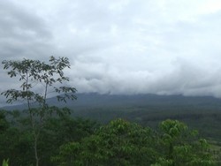 Gunung Semeru Alami 28 Kali Erupsi Disertai Letusan dalam 6 Jam