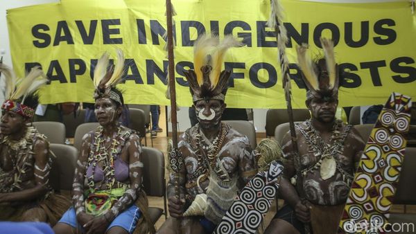 Hutan Adat Diserobot, Suku Awyu Papua Datangi Komnas HAM