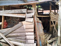 Banjir Rendam 15 Ha Sawah di Matangnga Polman, Padi Rusak-Sapi Warga Mati