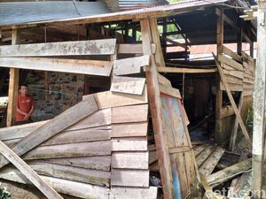 Banjir Rendam 15 Ha Sawah di Matangnga Polman, Padi Rusak-Sapi Warga Mati Banjir Rendam 15 Ha Sawah di Matangnga Polman, Padi Rusak-Sapi Warga Mati