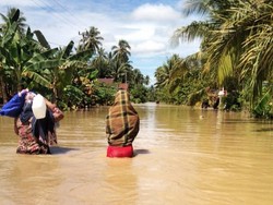 Banjir Terjang 4 Kecamatan di Mamuju, Petani Jagung Terancam Gagal Panen