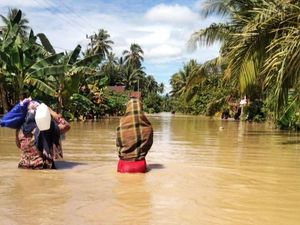 Banjir Terjang 4 Kecamatan di Mamuju, Petani Jagung Terancam Gagal Panen Banjir Terjang 4 Kecamatan di Mamuju, Petani Jagung Terancam Gagal Panen