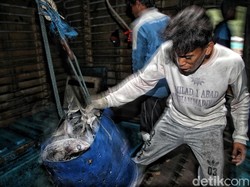 Nelayan Bisa Untung Berkat Aturan Penangkapan Ikan Terukur, Begini Hitungannya
