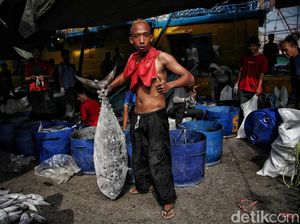 Badan Pangan Dunia Dukung RI Terapkan Penangkapan Ikan Terukur Badan Pangan Dunia Dukung RI Terapkan Penangkapan Ikan Terukur