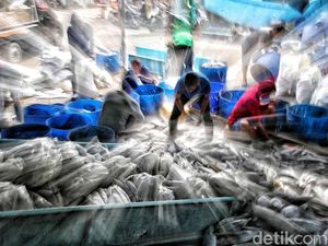 Aktivitas Nelayan Muara Baru di Tengah Polemik Penangkapan Ikan Terukur Aktivitas Nelayan Muara Baru di Tengah Polemik Penangkapan Ikan Terukur