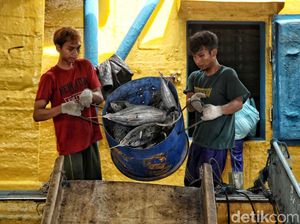 KKP Beberkan Alasan Penangkapan Ikan Terukur Ditunda KKP Beberkan Alasan Penangkapan Ikan Terukur Ditunda