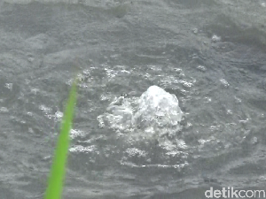 Fenomena Semburan Air Muncul di Kali Asem Kagetkan Warga Lumajang