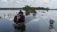 Banjir Rendam Lahan Pertanian di Desa Sidarahayu Ciamis