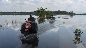Banjir Rendam Lahan Pertanian di Desa Sidarahayu Ciamis
