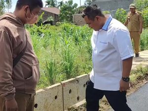 Amukan Kadis Bina Marga Medan, Sidak-Injak Aspal Rp 1,5 M hingga Terkelupas Amukan Kadis Bina Marga Medan, Sidak-Injak Aspal Rp 1,5 M hingga Terkelupas