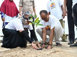 Relawan Pendukung Sandiaga Uno Tanam Mangrove dan Bantu UMKM Lampung