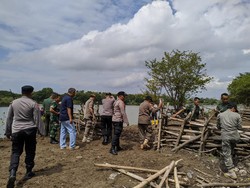 Ratusan Kerbau Masuk Bandara Lombok, AirNav: Bisa Ganggu Penerbangan