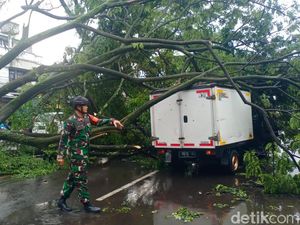 Pohon Tumbang Timpa Mobil Boks di Bandung