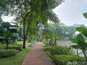 Asri Banget! Taman Situ Lembang Punya Koleksi Tumbuhan Beragam Asri Banget! Taman Situ Lembang Punya Koleksi Tumbuhan Beragam
