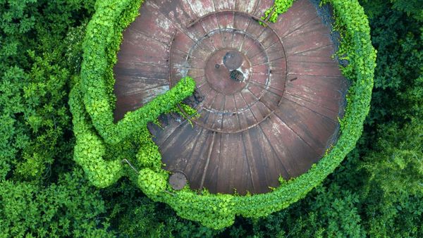 Tangki Minyak di China Nyaris Ditelan Tanaman Merambat