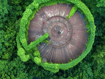 Tangki Minyak di China Nyaris Ditelan Tanaman Merambat