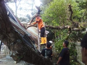 Makam Mantan Bupati Sukabumi Tertimpa Pohon Tumbang