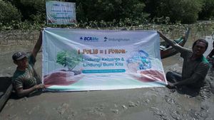 Peringati Hari Bumi, BCA Life Tanam 1.999 Pohon