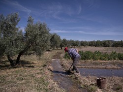 Prediksi WMO: Bakal Ada Tahun Terpanas dalam 5 Tahun ke Depan