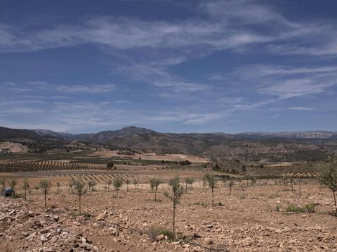 Spanyol tengah dilanda kekeringan. Kekeringan ini disebabkan massa udara yang sangat panas dan kering yang berasal dari Afrika.