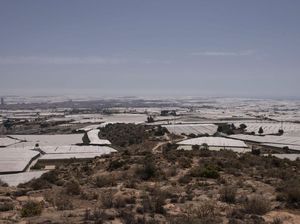 Spanyol Dilanda Kekeringan, Ini Penampakannya