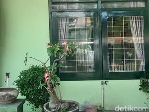 5 Hal Terkini soal Penembakan Puskesmas di Depok Sleman 5 Hal Terkini soal Penembakan Puskesmas di Depok Sleman