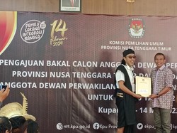 Direktur Walhi NTT Nyaleg DPD, Siap Perjuangkan Isu Lingkungan