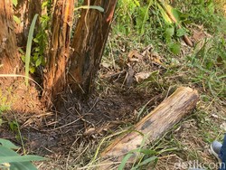 Teka-teki di Kasus Mayat Pria Telanjang di Depok