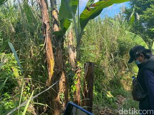 Polisi Temukan Sisa Pembakaran di Sekitar Mayat Pria Telanjang di Depok Polisi Temukan Sisa Pembakaran di Sekitar Mayat Pria Telanjang di Depok