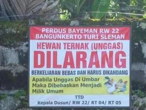 Dusun di Sleman Ini Larang Unggas Berkeliaran, Ngeyel Jadi Milik Umum!
