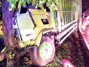 Sopir Truk Fuso Tewas Seusai Hantam Pohon di Jalur Denpasar-Gilimanuk