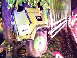 Sopir Truk Fuso Tewas Seusai Hantam Pohon di Jalur Denpasar-Gilimanuk