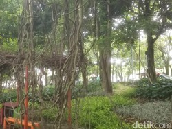 Menikmati Sejuk dan Tenangnya Taman Maluku Bandung