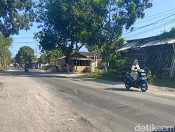 Jalan Rusak Berat di Puger Jember Butuh Naik Kelas, Tak Hanya Perbaikan Biasa